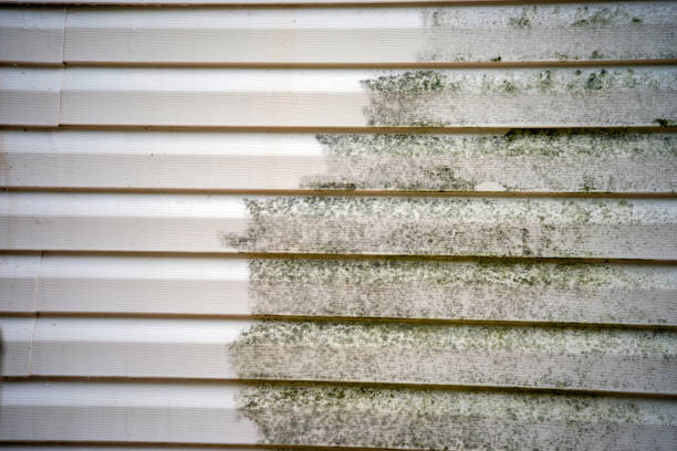 Affordable siding repair and maintenance services in Sewaren, NJ